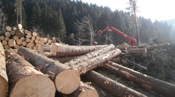 Pubblicato bando PSR mis 8.6.1 – settore forestale. Acquisto macchinari ed attrezzature.