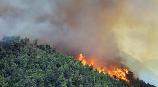 Contributi per prevenzione danni arrecati a foreste da incendi, calamita’ naturali ed eventi catastrofici – Regione Piemonte