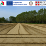 Il Piemonte approva il Complemento di Sviluppo Rurale
